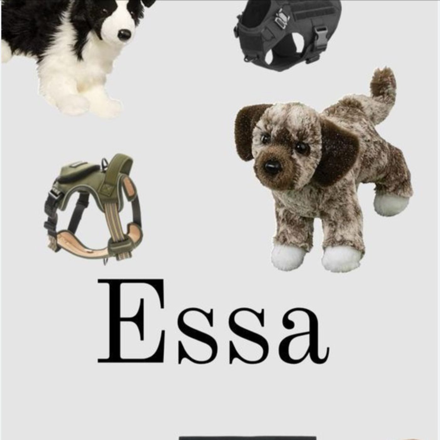 ESSA🐾⭐️❤️ episode artwork