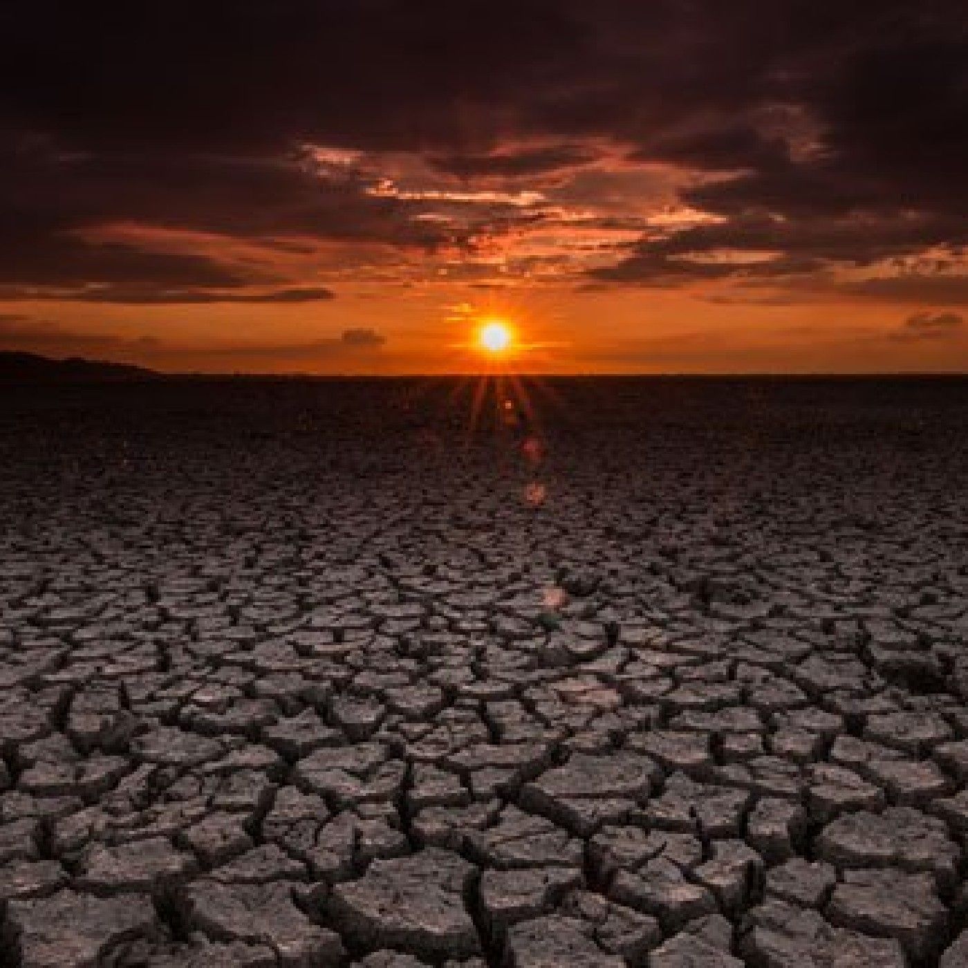 La Naturaleza Humana