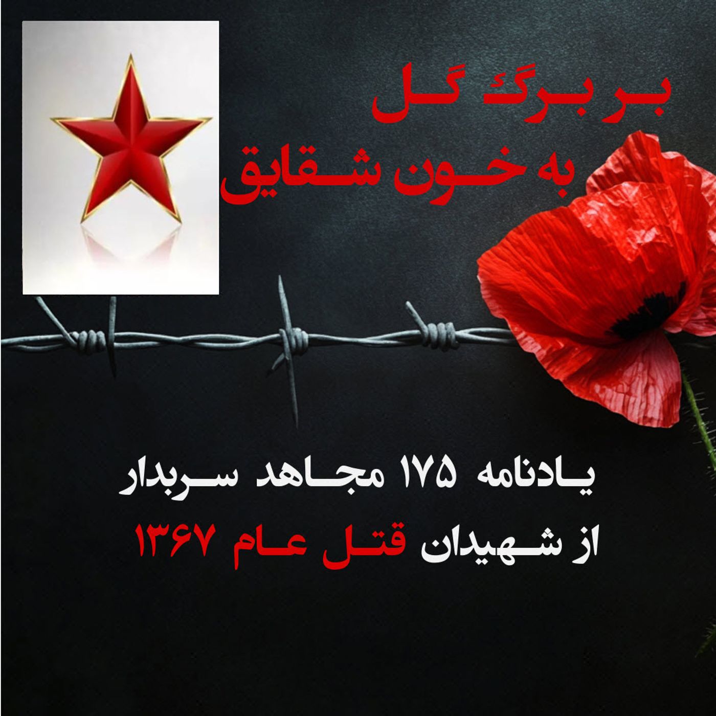 بربرگ گل به خون شقایق-حیدر صادقی episode artwork