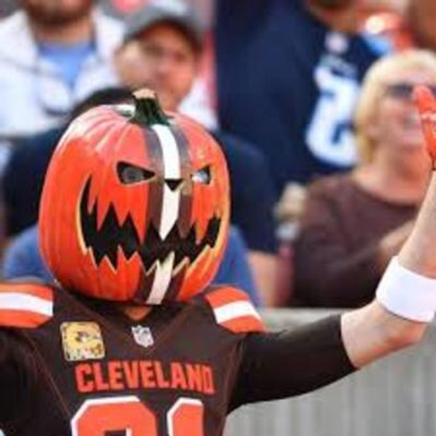 NFL Playoff picks 2017 Season