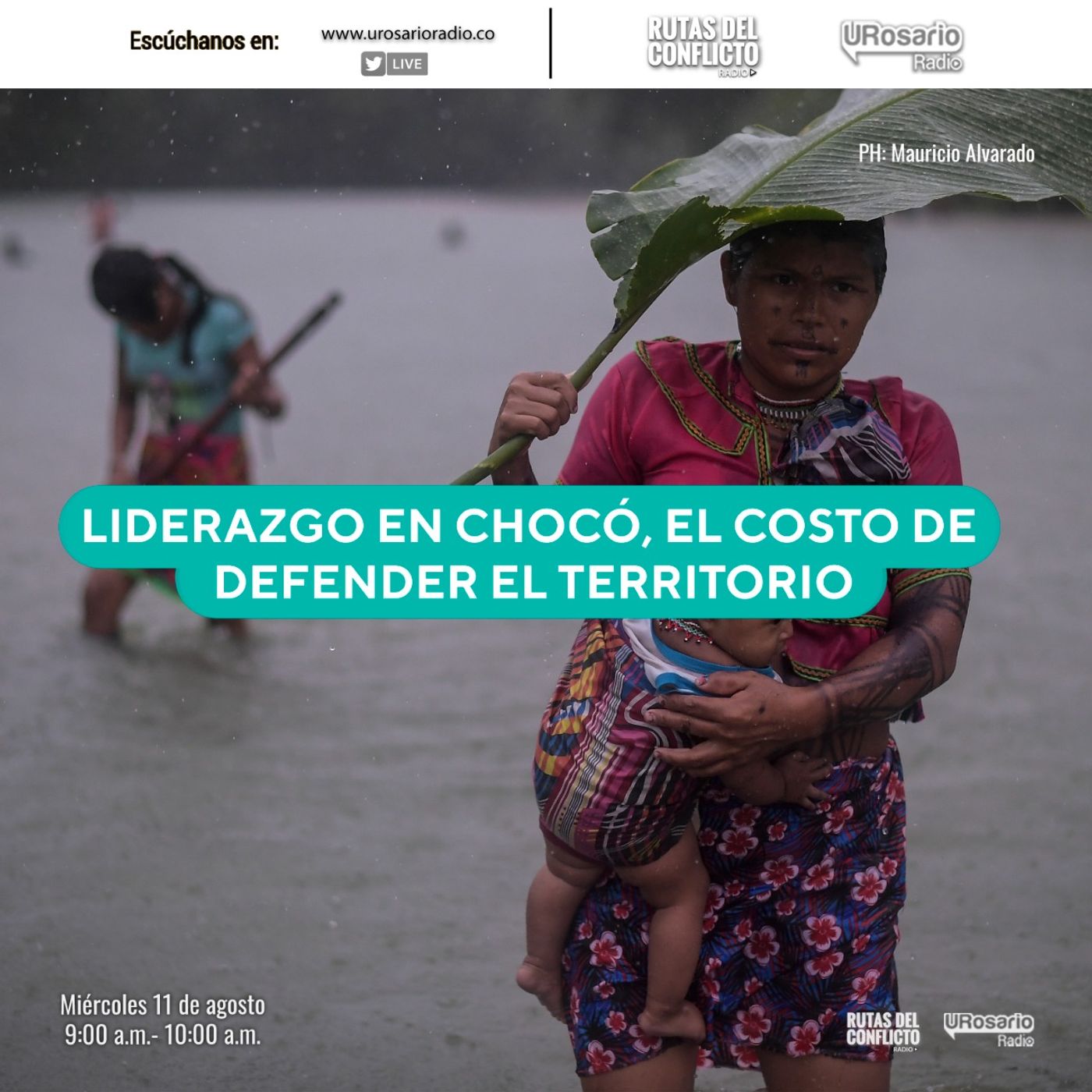 Liderazgo en el Chocó, el costo de defender el territorio
