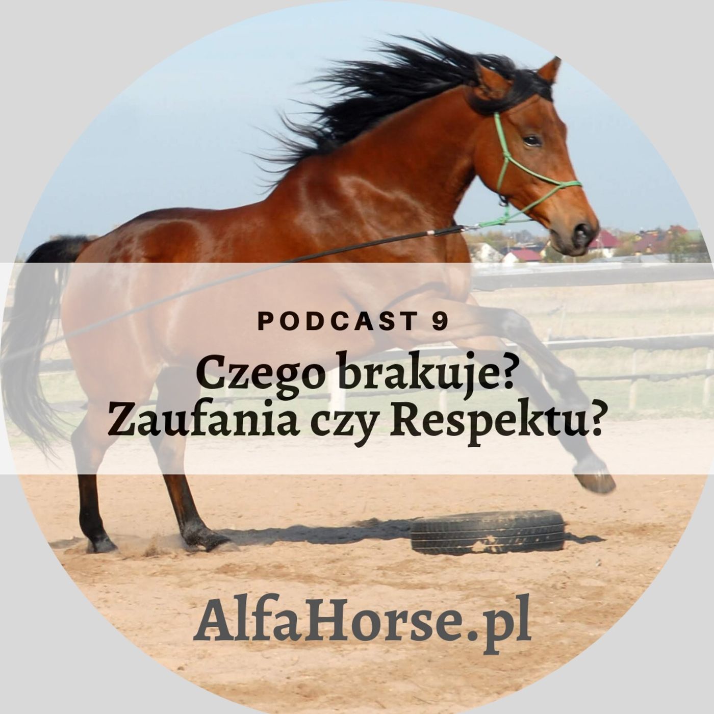 Podcast 9: Czy to brak zaufania czy respektu? episode artwork
