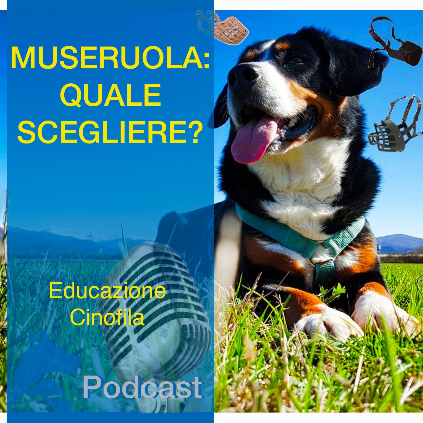 StiCani Educazione Cinofila