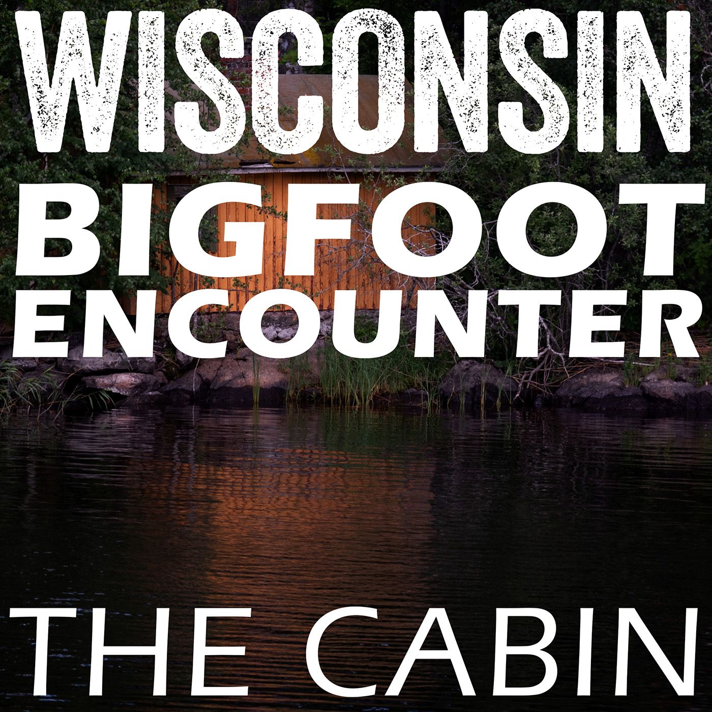 BIGFOOT EYE SIGHTING ENCOUNTER IN WISCONSIN | WE WERE AT A LAKE CABIN WHEN I SEEN IT!!!