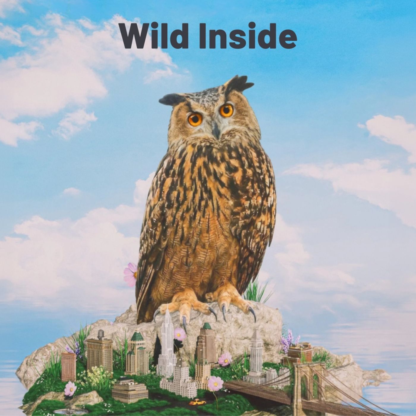 Wild Inside - the story of notable New Yorker Flaco the owl episode artwork