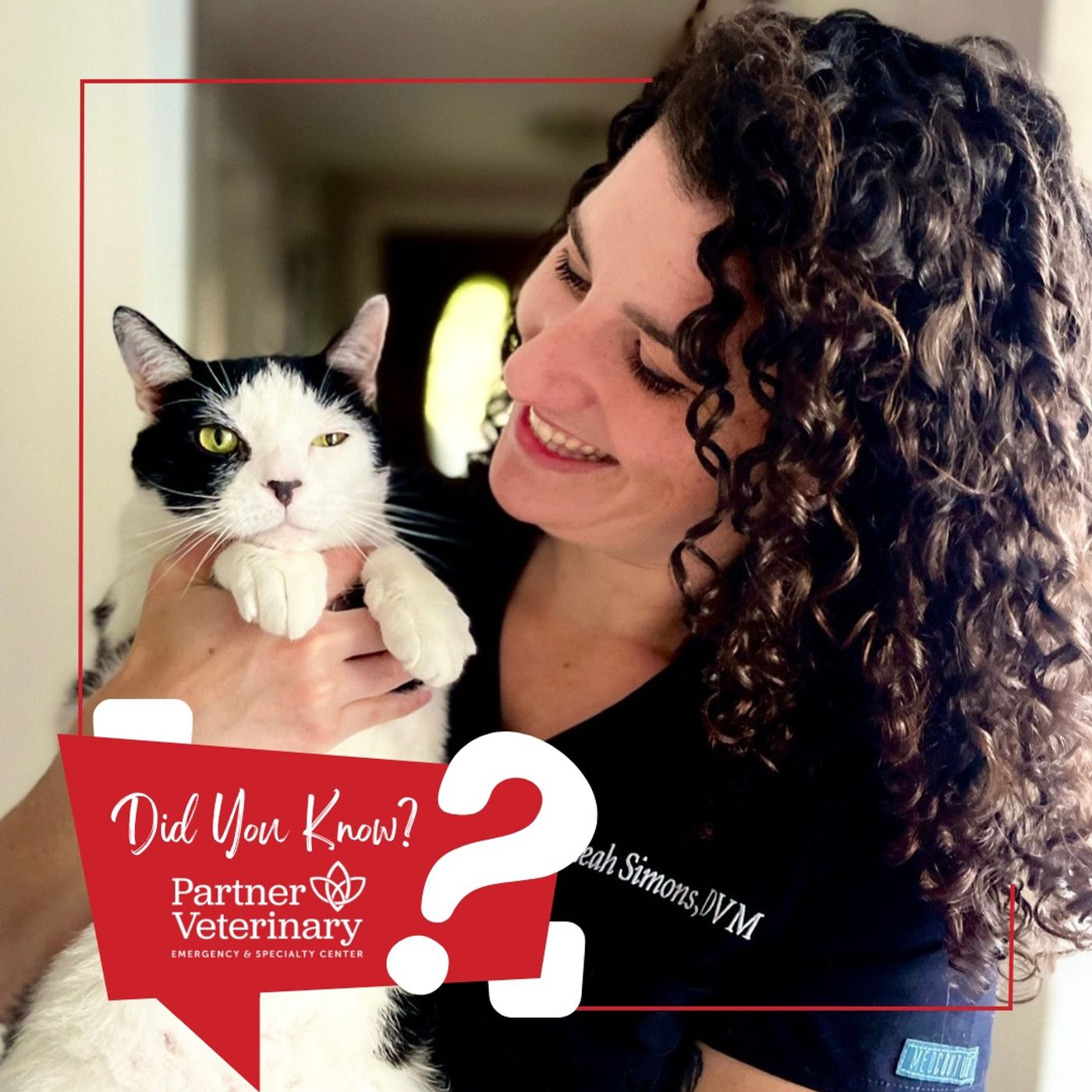 Snake Bites and Your Pet with Dr. Leah Simons episode artwork