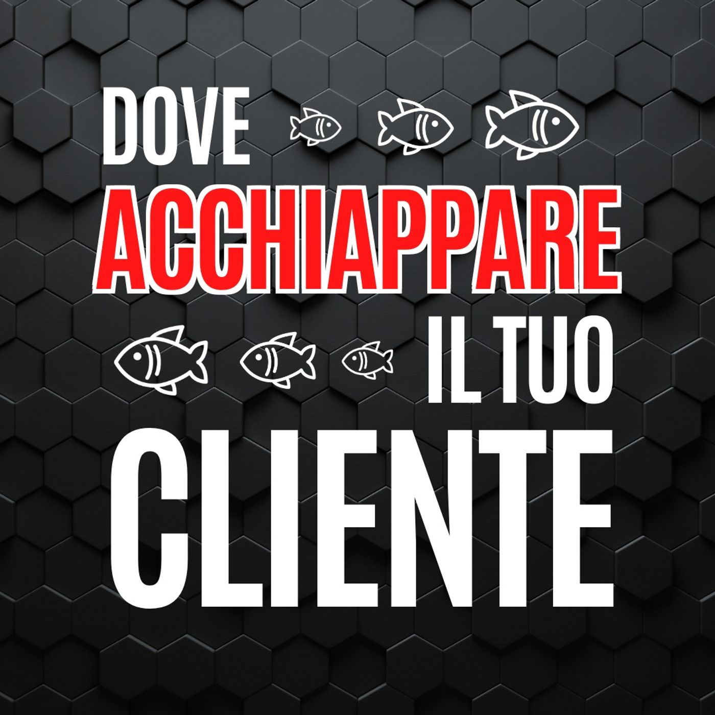 25 - Dove acchiappare il tuo Cliente - Pillole di Comunicazione per le Aziende episode artwork
