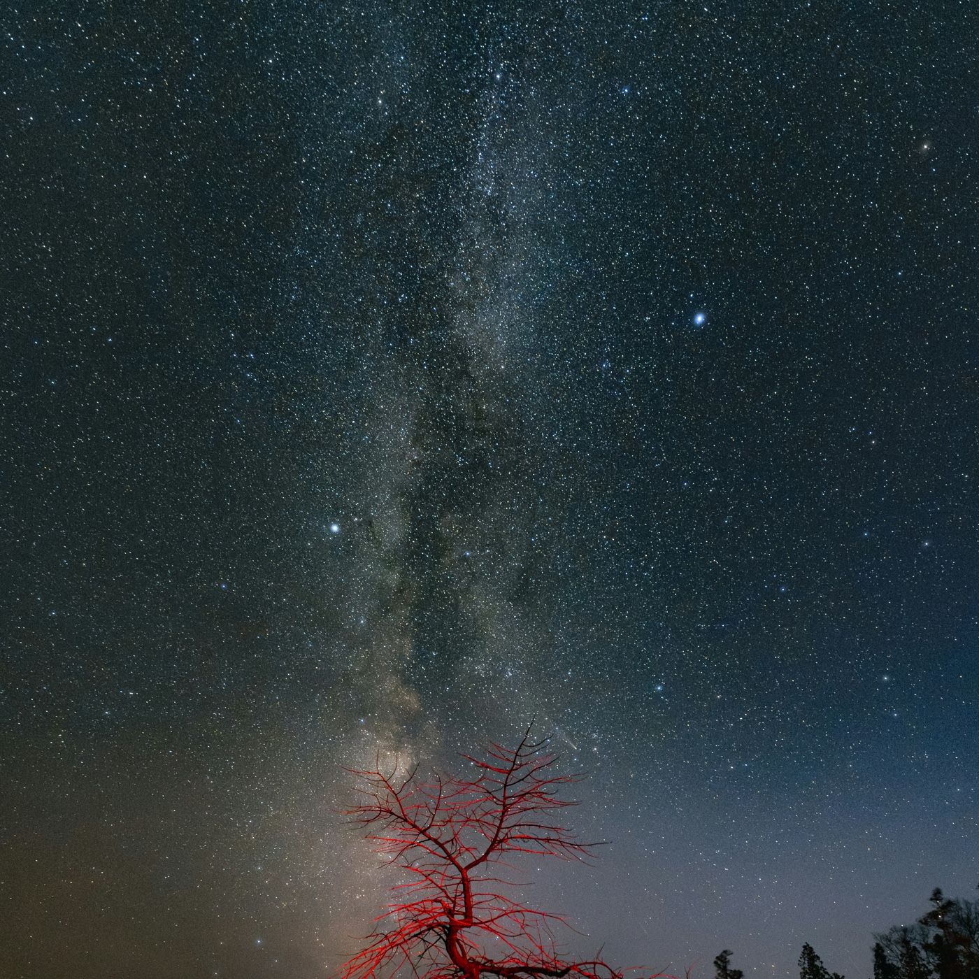 Episodio1| Fuera del templo