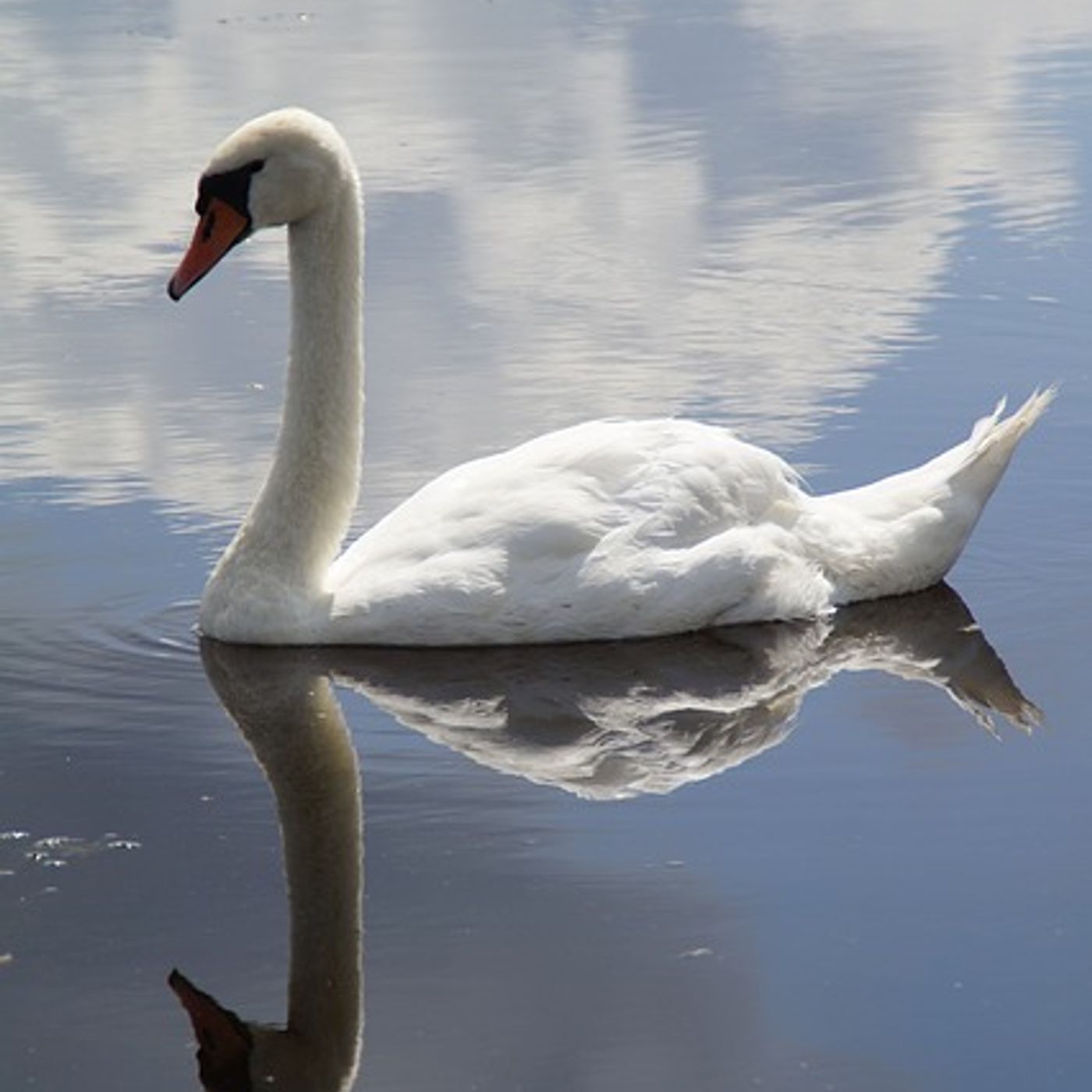 musik til arbejdet live fra cafe starbuk af rajter