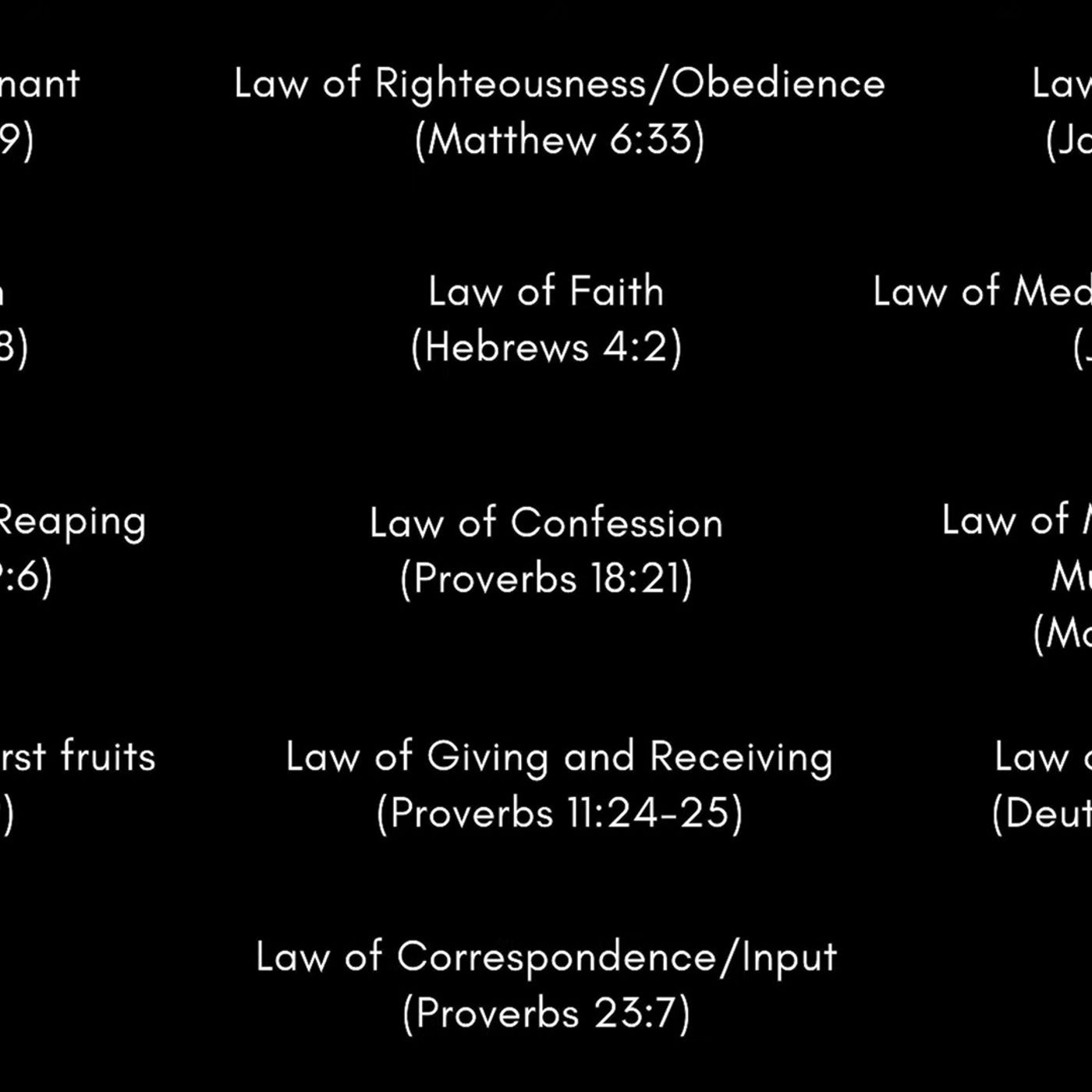 The Spiritual Laws by Holly Baglio EX Uberman.