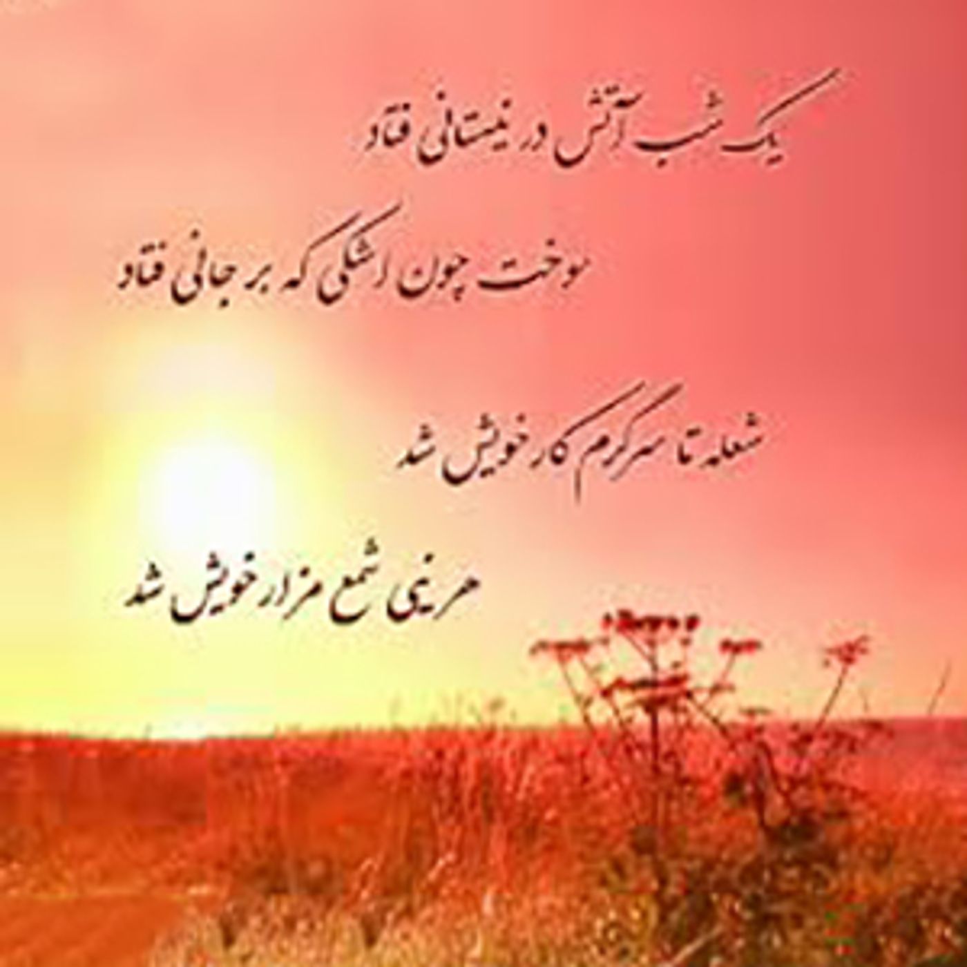 سروده - یک شب آتشین