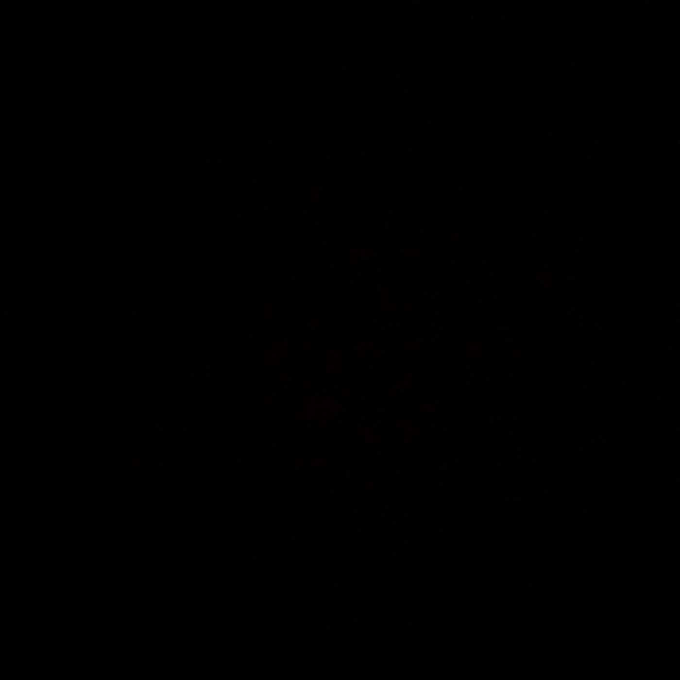 Sophie Podcast
