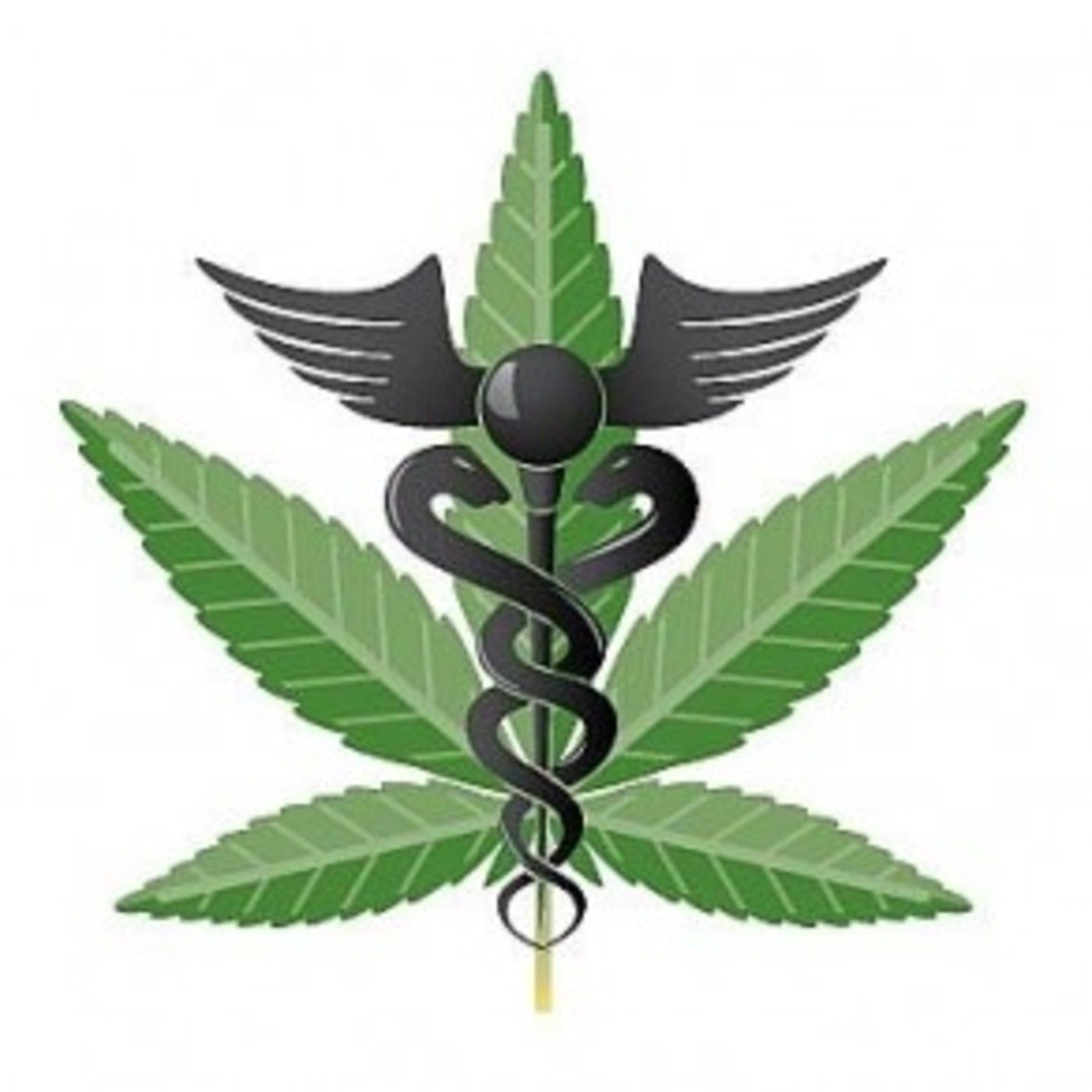 Cannabis y LaOtraSociación