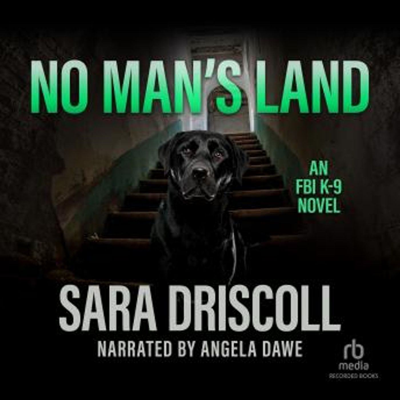 the Best Audio Stories in Mystery, Thriller & Horror, Police & Detective
