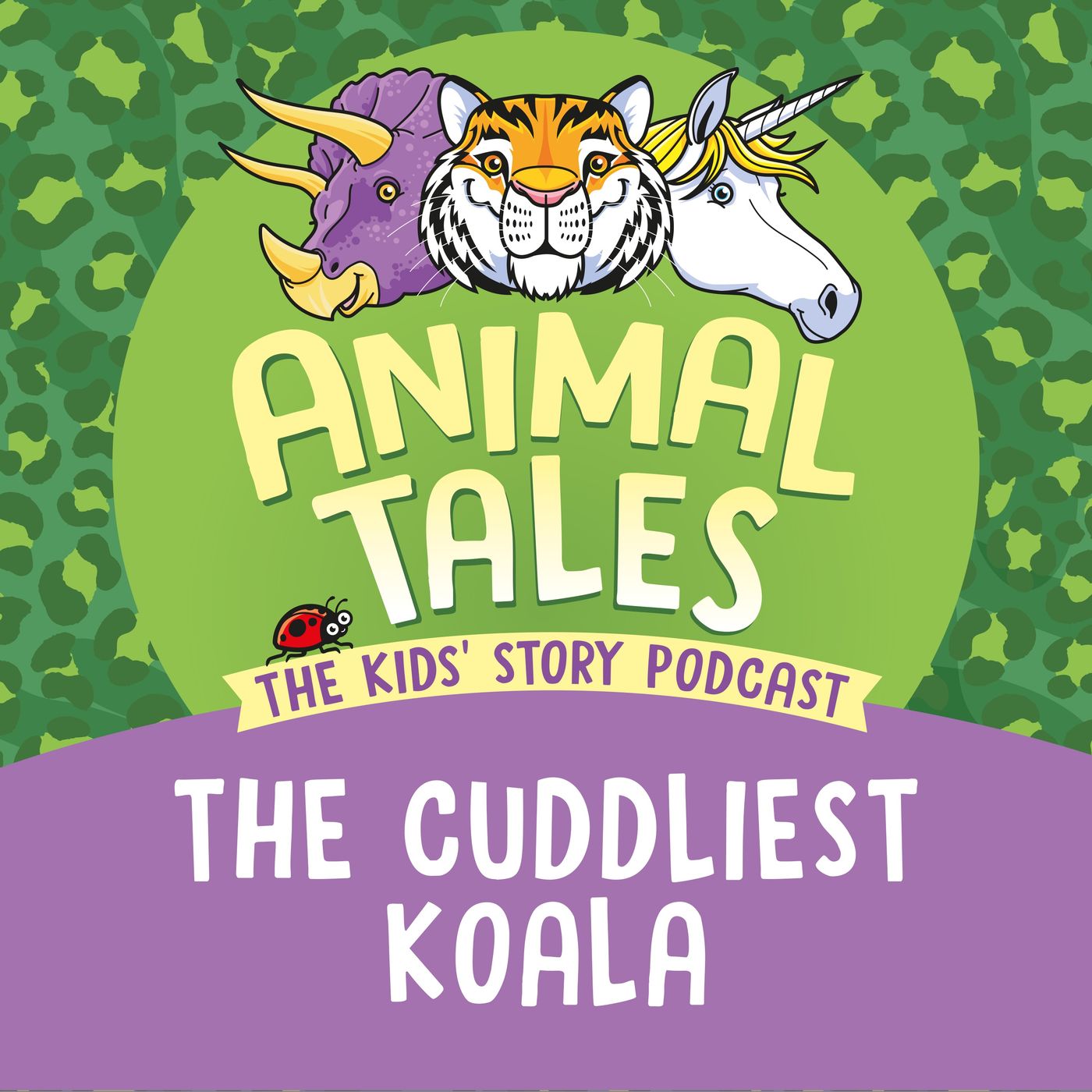 The Cuddliest Koala