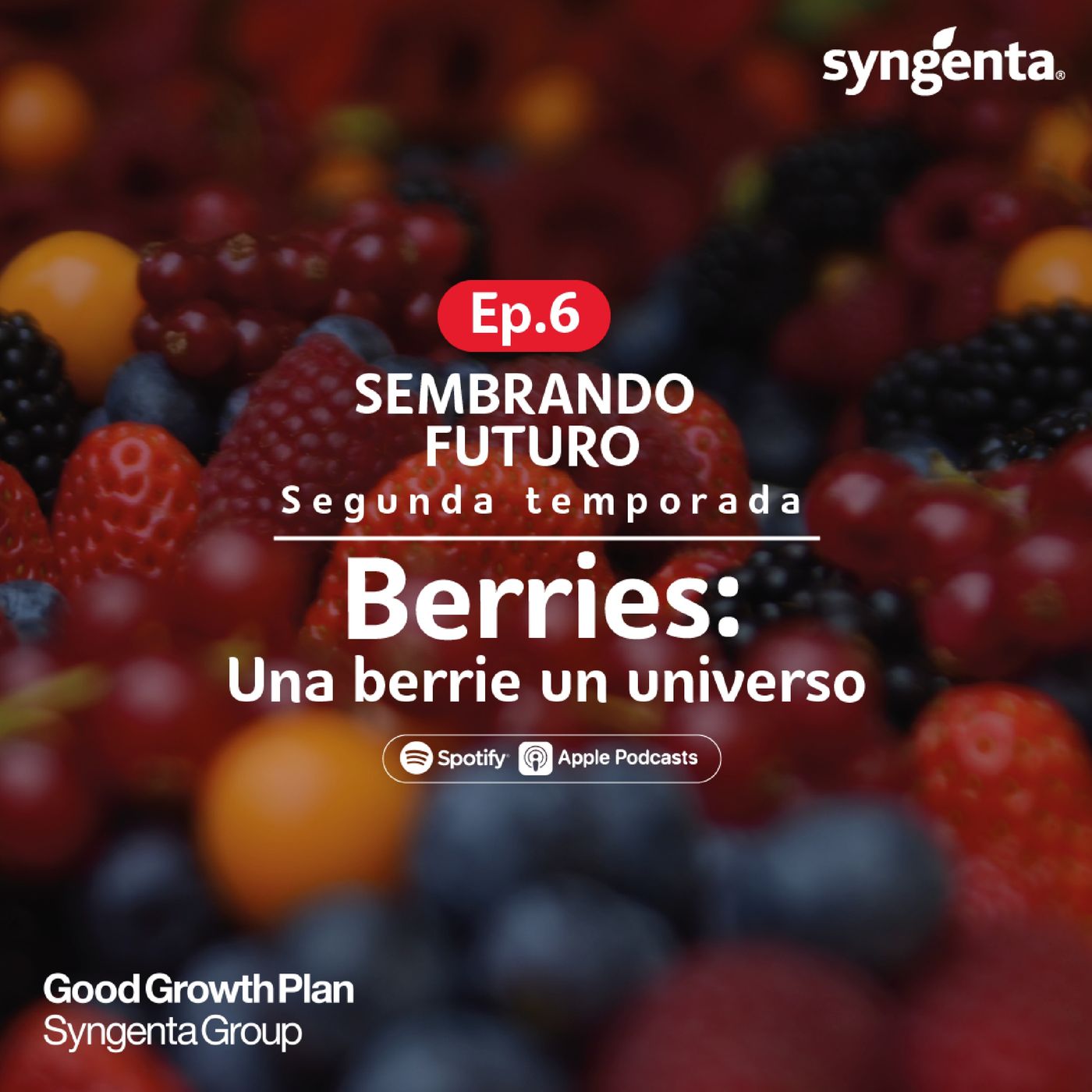 T2 | E6. Una berrie, un universo