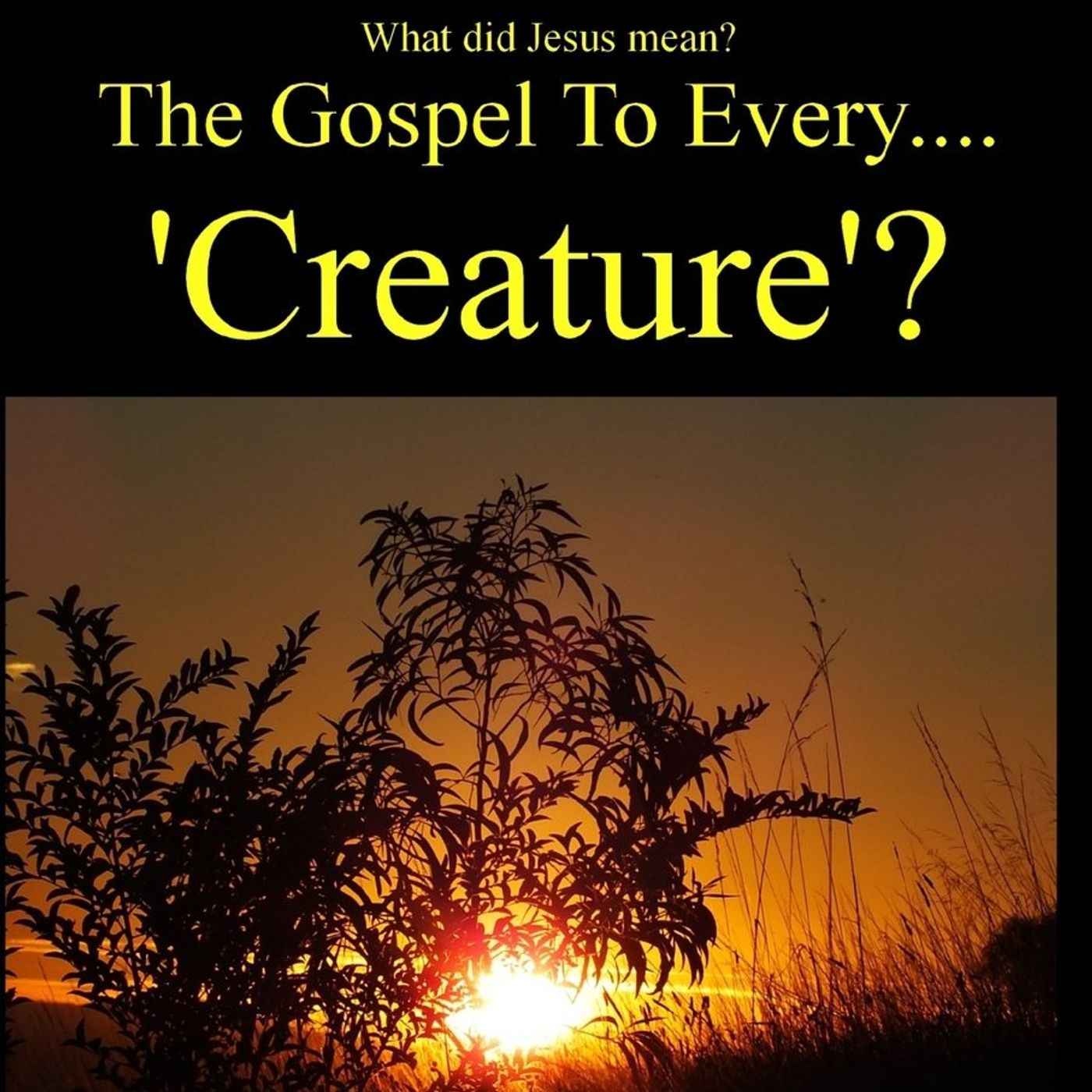 The Gospel to every creature