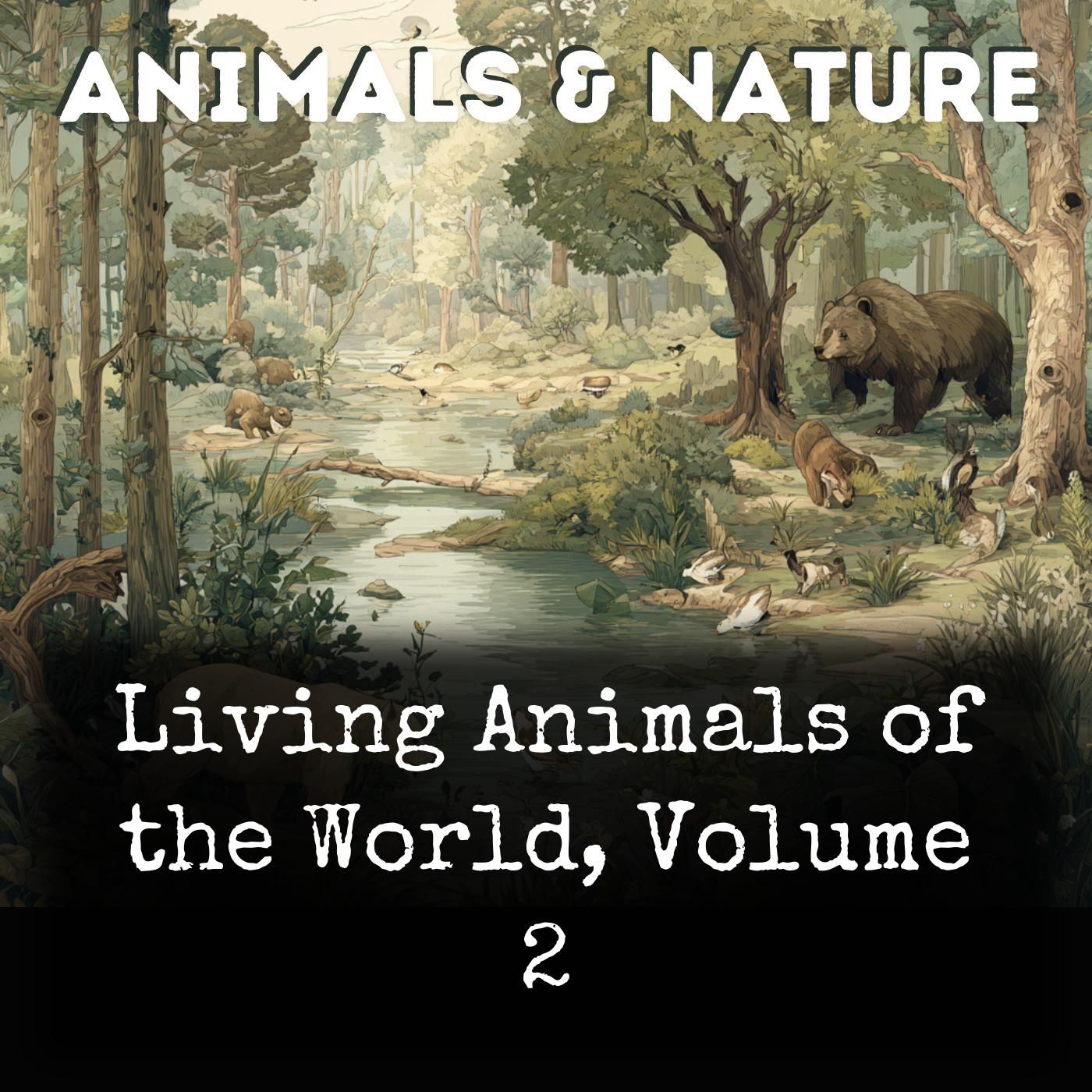 Living Animals of the World, Volume 2 cover art