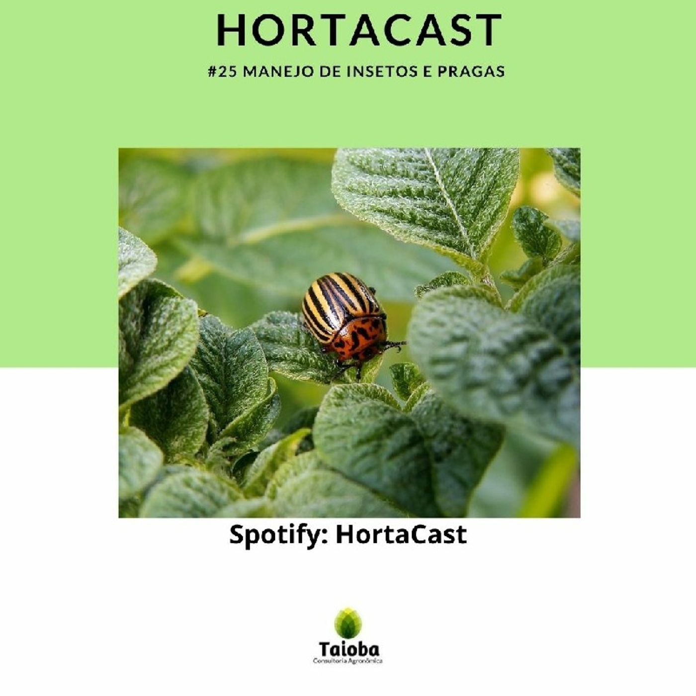 HortaCast\'s show