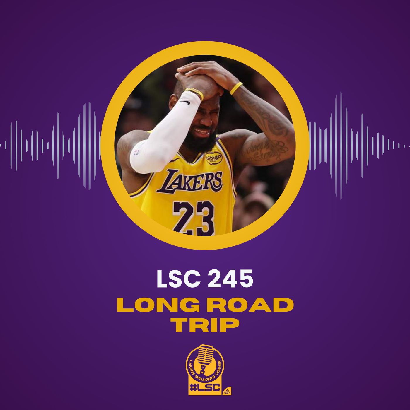 LSC 245 - Long Road Trip