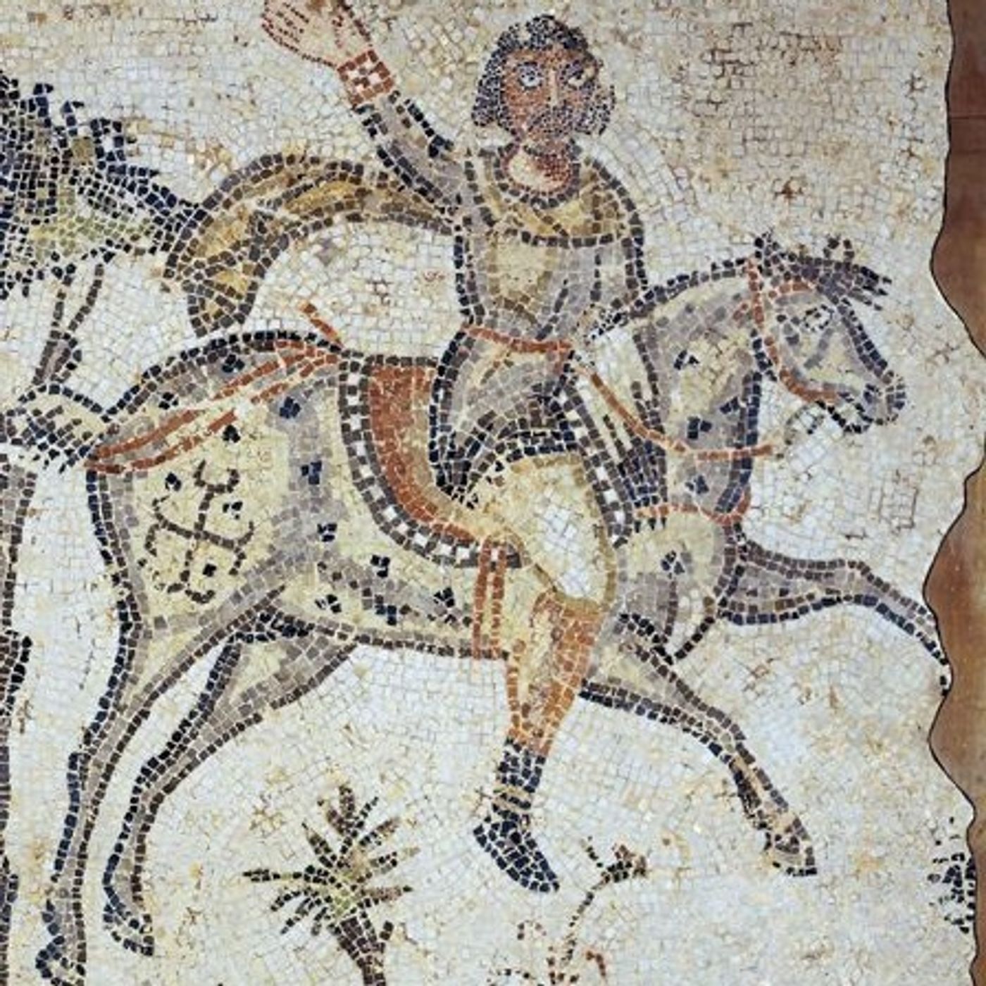 Episodio 64, il regno dei Vandali (477-533)