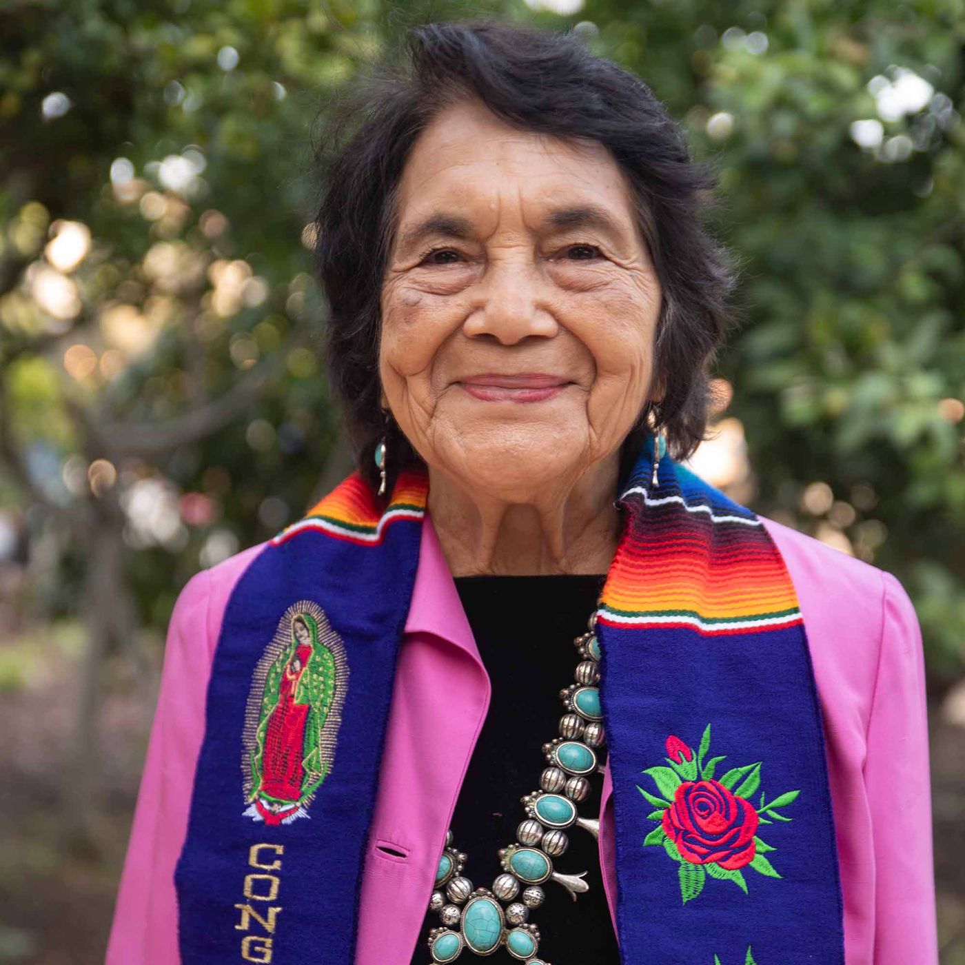Cesar Chavez, Dolores Huerta, and the Farmworkers Movement episode artwork