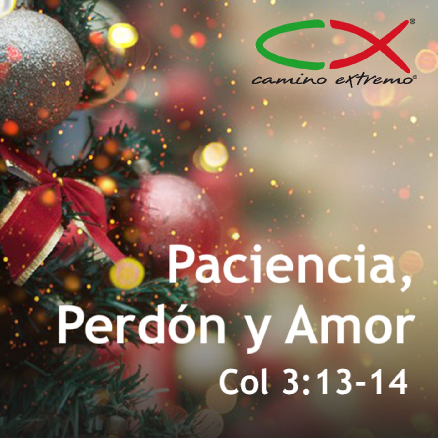 Oración 22 de diciembre (Paciencia, Perdón y Amor) episode artwork