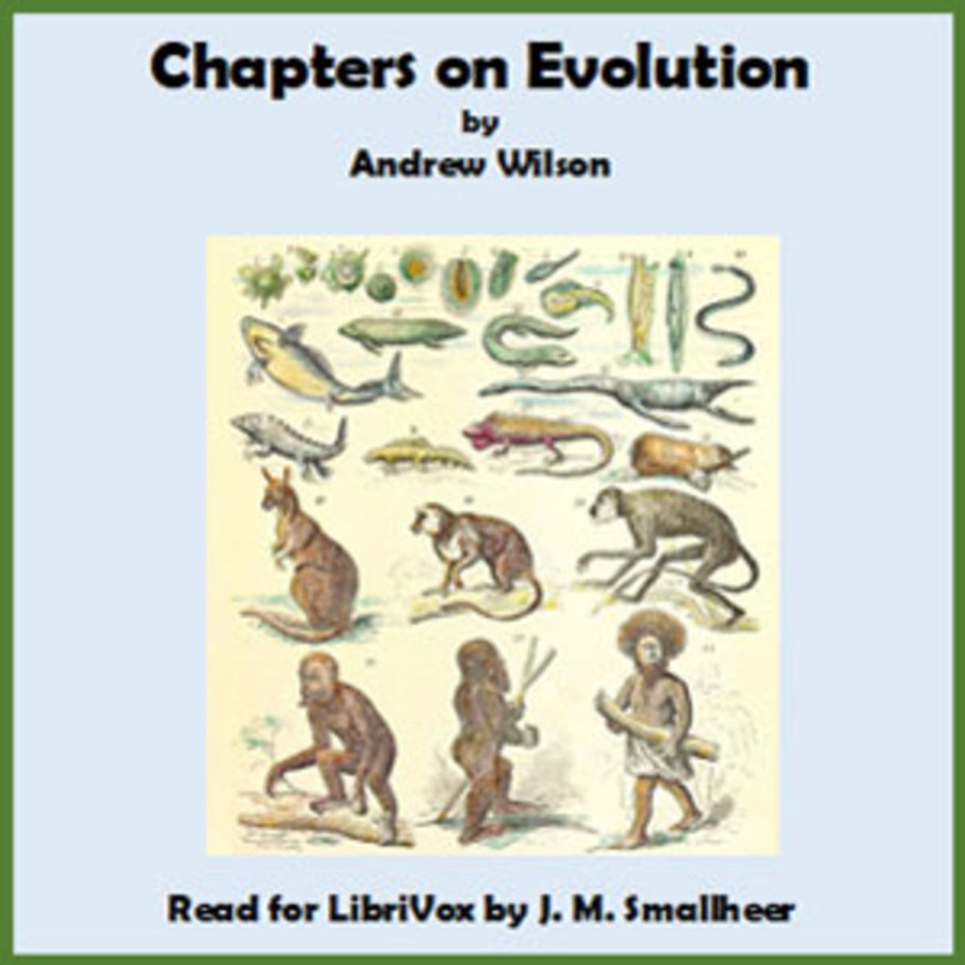 041 - The Fertilisation of Flowers part 3 episode artwork