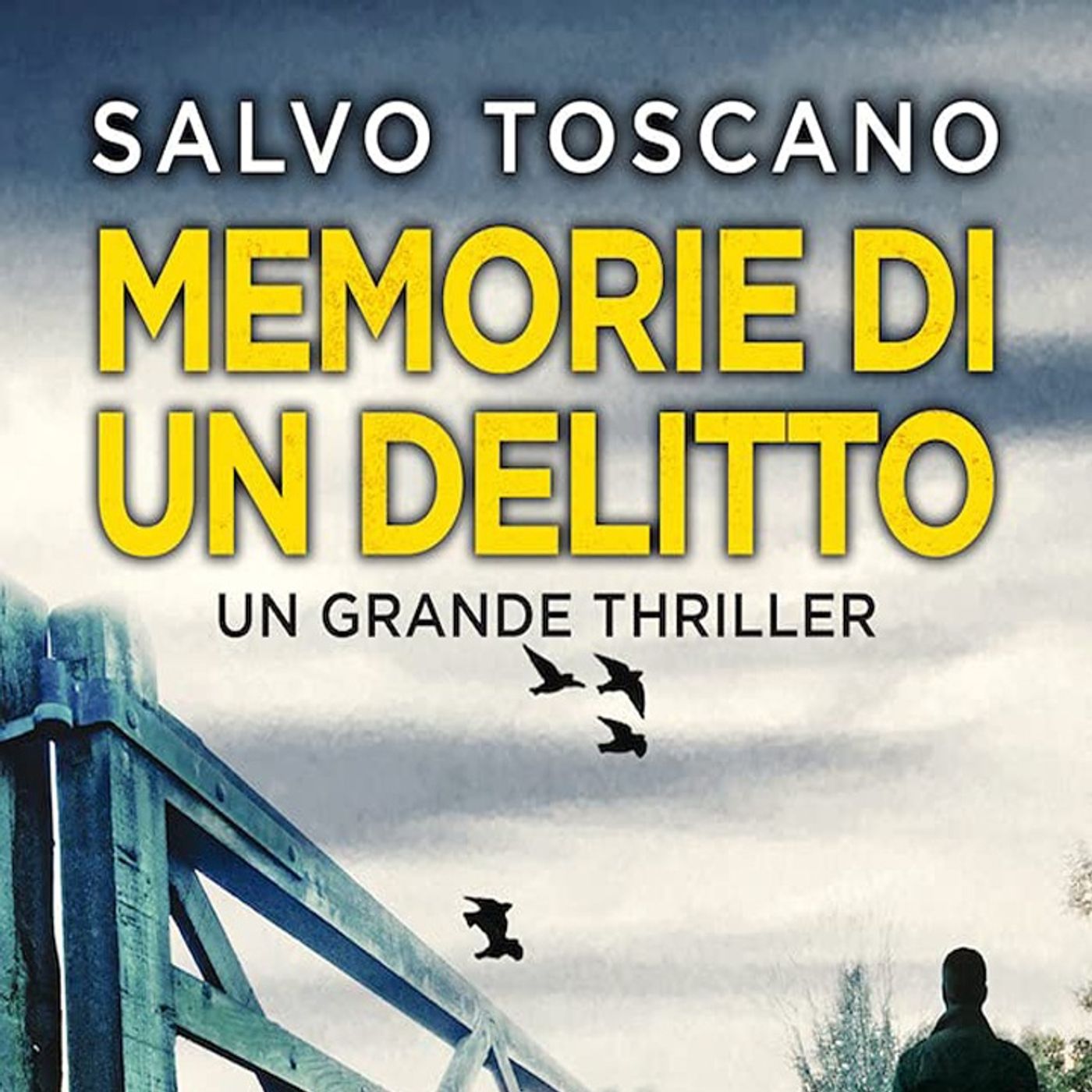 Salvo Toscano: torna la fortunata serie poliziesca con protagonisti i due fratelli Corsaro