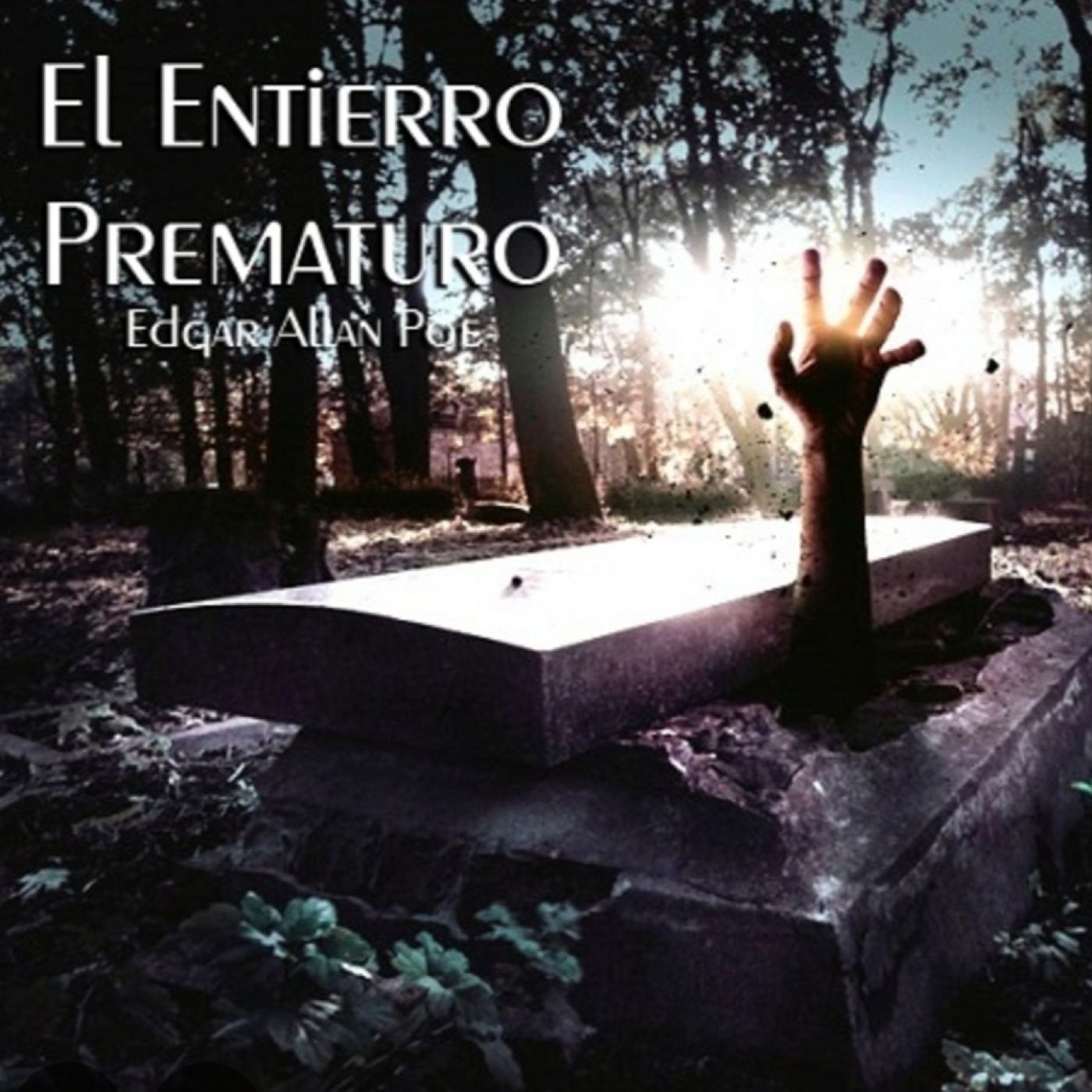 Portada de SONORUM LITERALIA