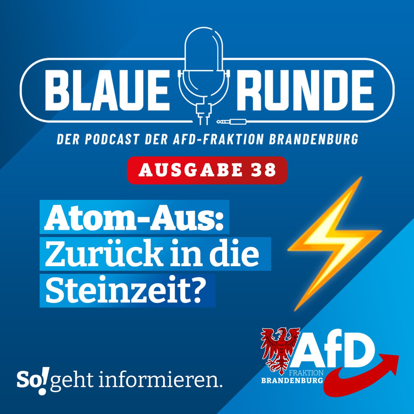 Atom-Aus: Zurück in die Steinzeit? | Die Blaue Runde, Ausgabe 38/23 vom 15. April 2023 episode artwork