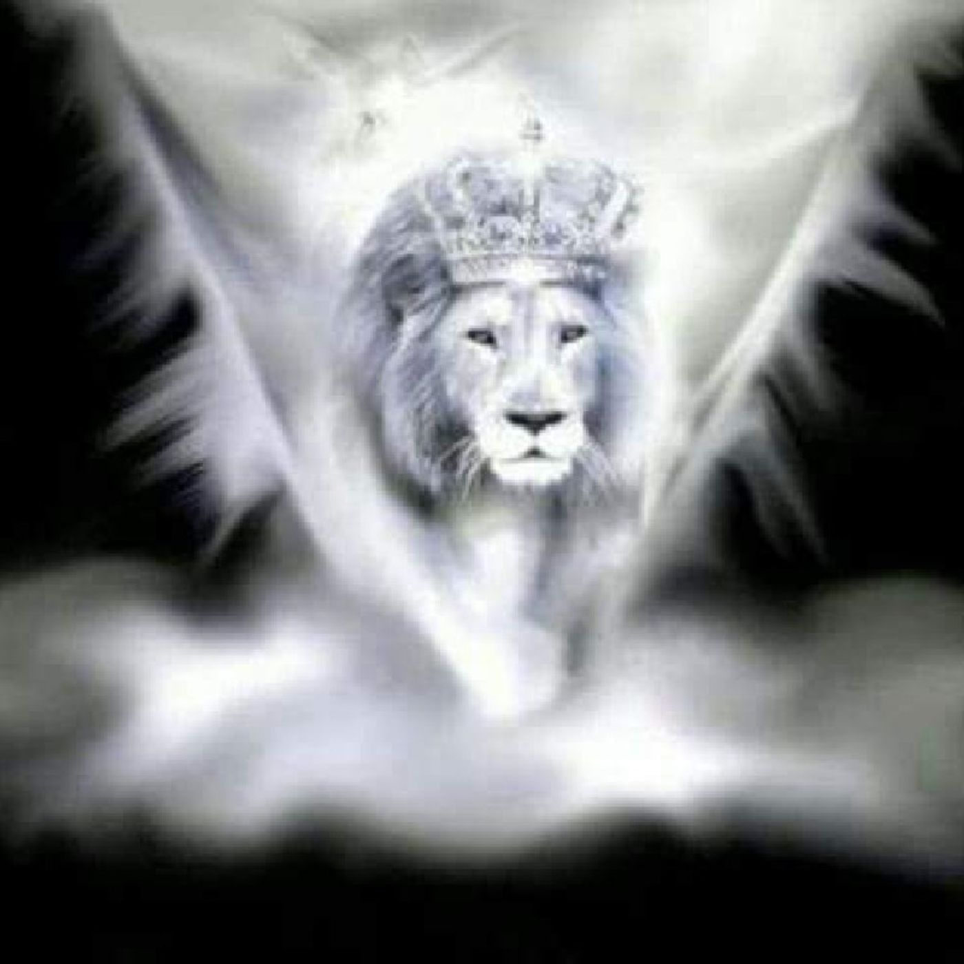 KingdomCommunity BibleStudy