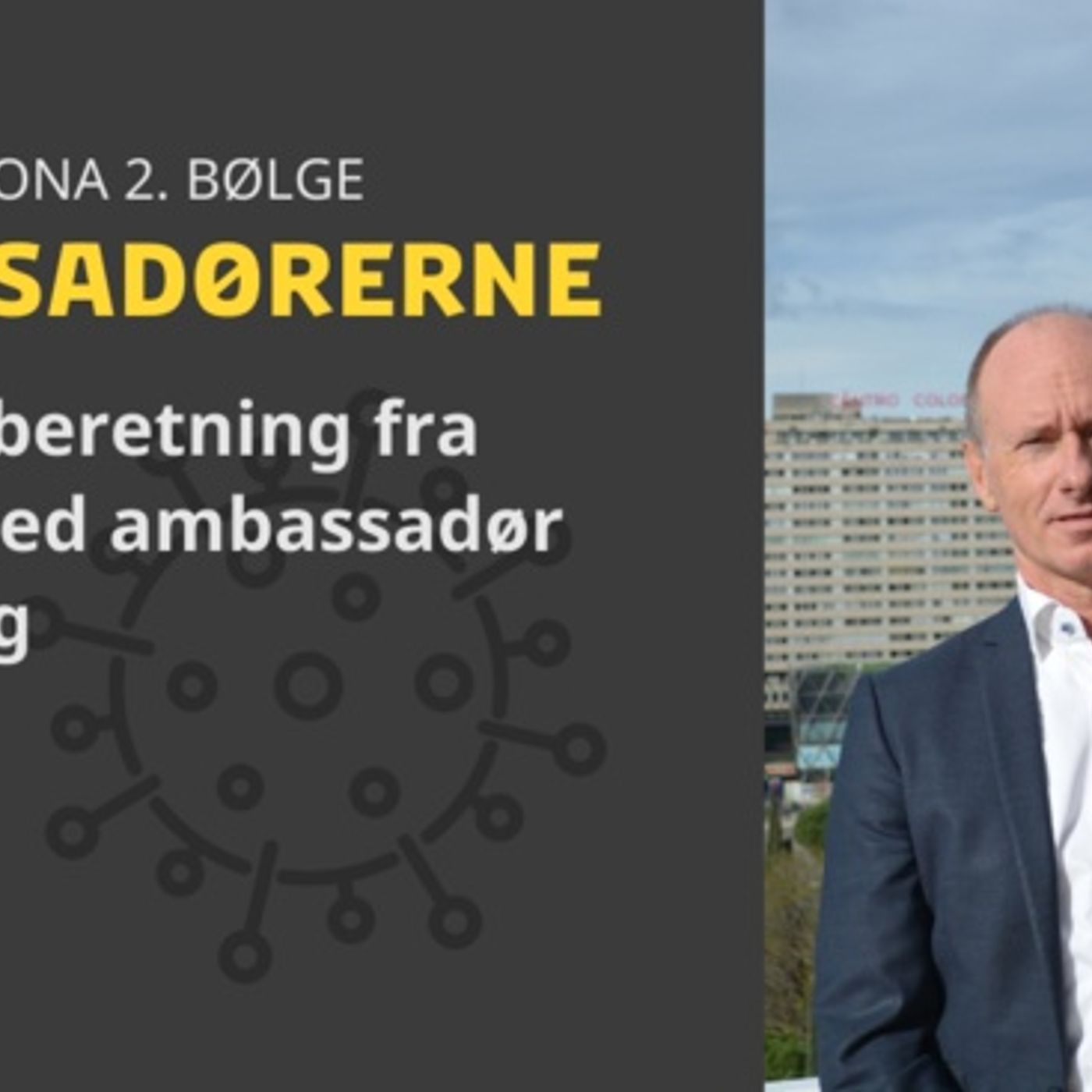 Ambassadørerne