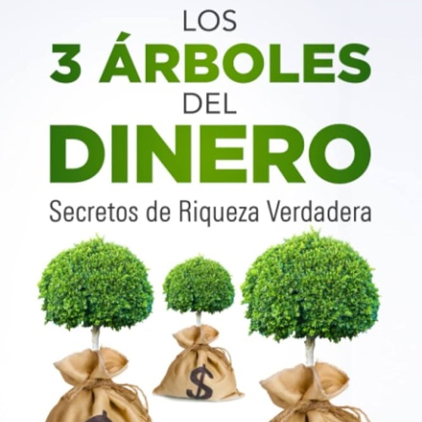 Portada de Conocimiento Experto