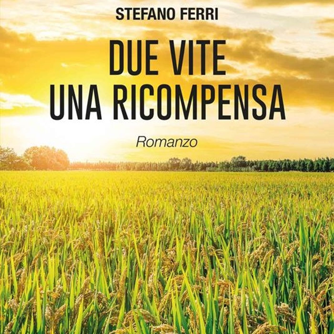 il posto delle parole