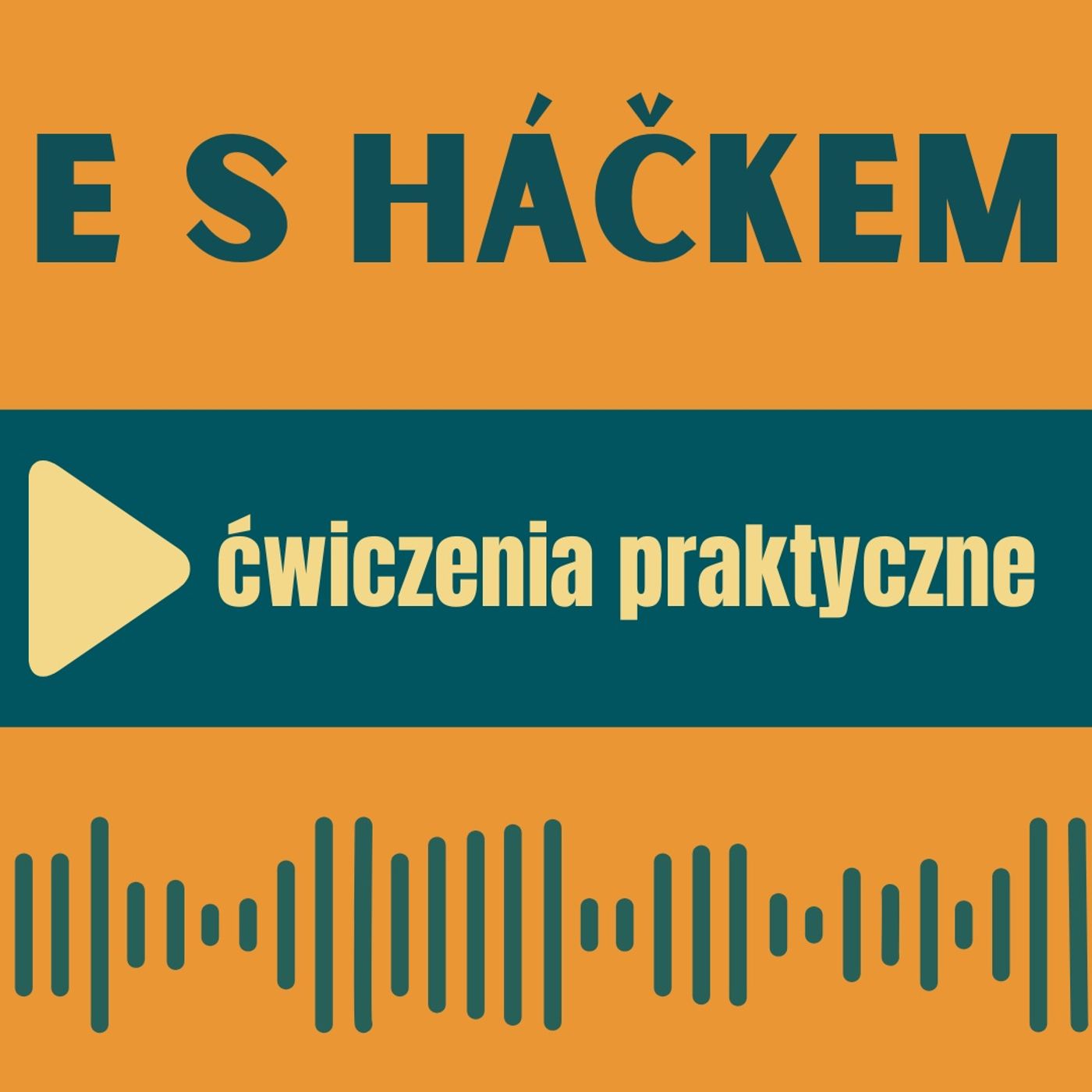 113: E s háčkem - ćwiczenia praktyczne episode artwork
