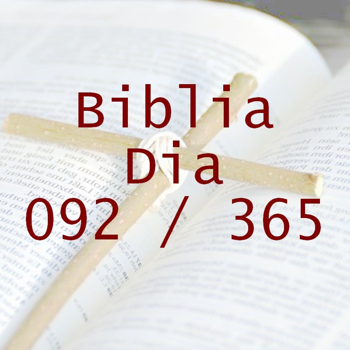 La Biblia en 365 dias