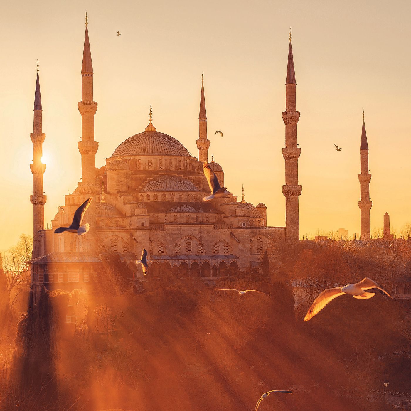 Beden ve Ruhun Birlikte Sağlığı NAMAZ