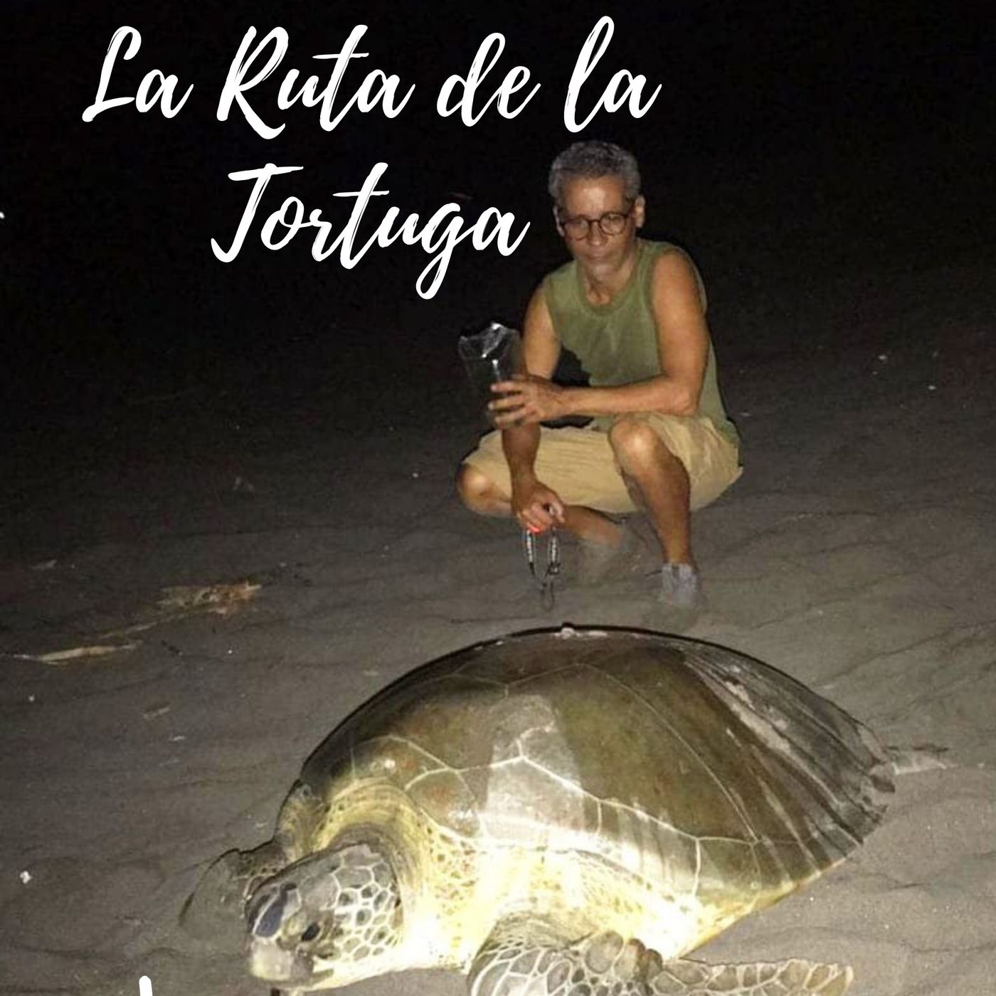 LA RUTA DE LA TORTUGA