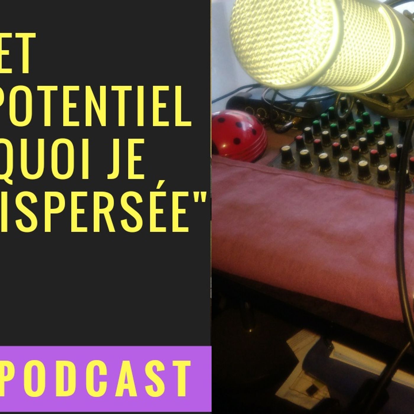Lionel Estan-zebreetnet.fr show