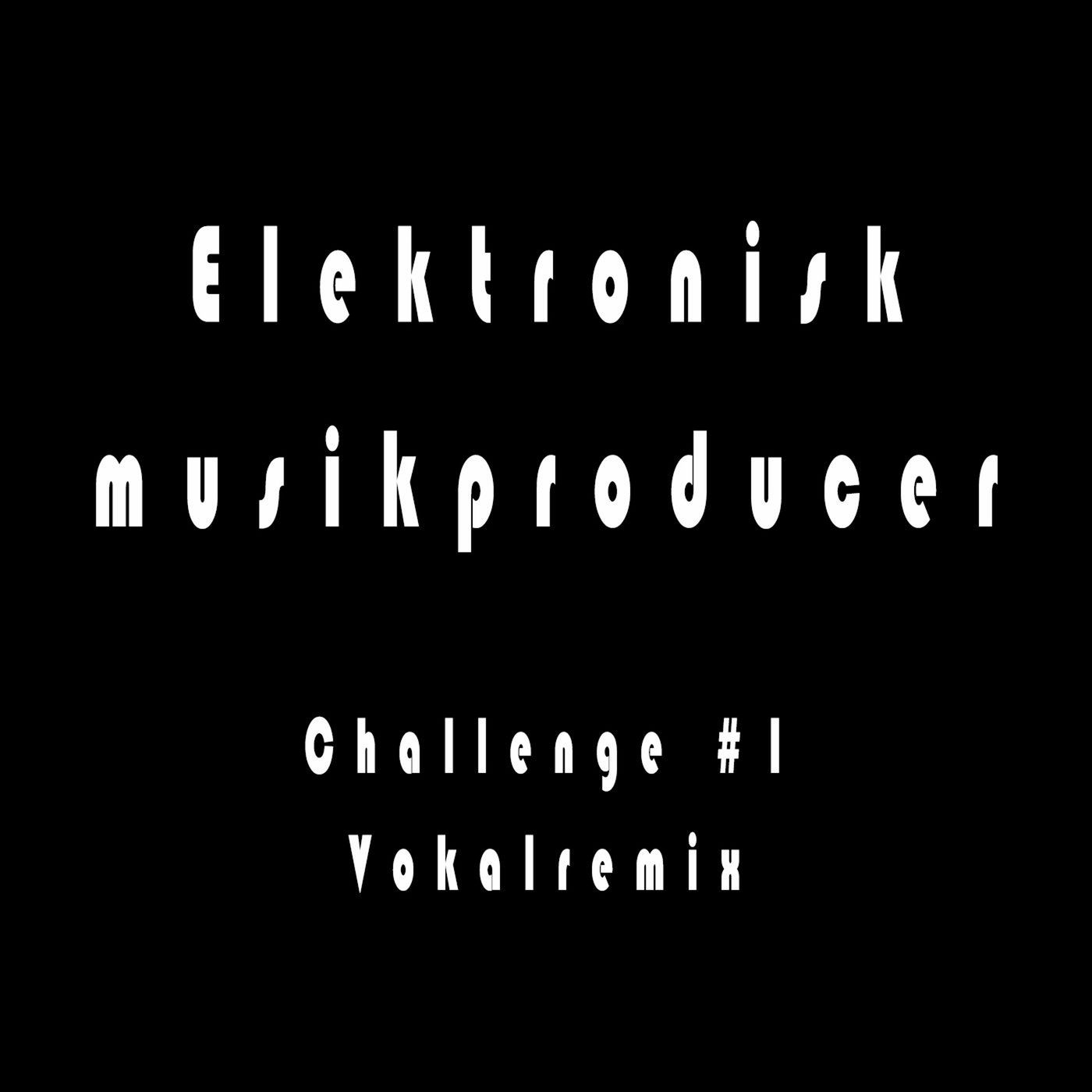 Elektronisk musikproducer
