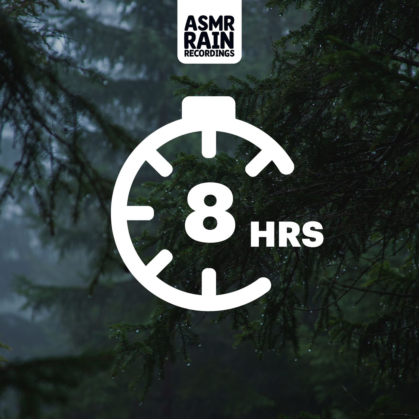 Forest Rainfall for Focus: Intense Woods Ambiance episode artwork
