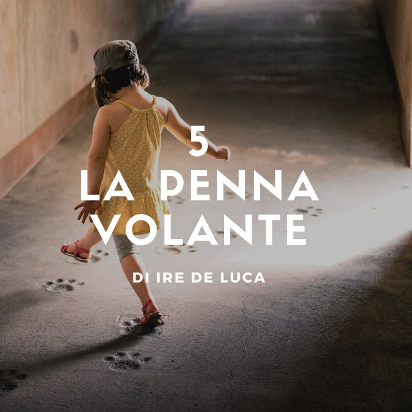 5 - La penna volante