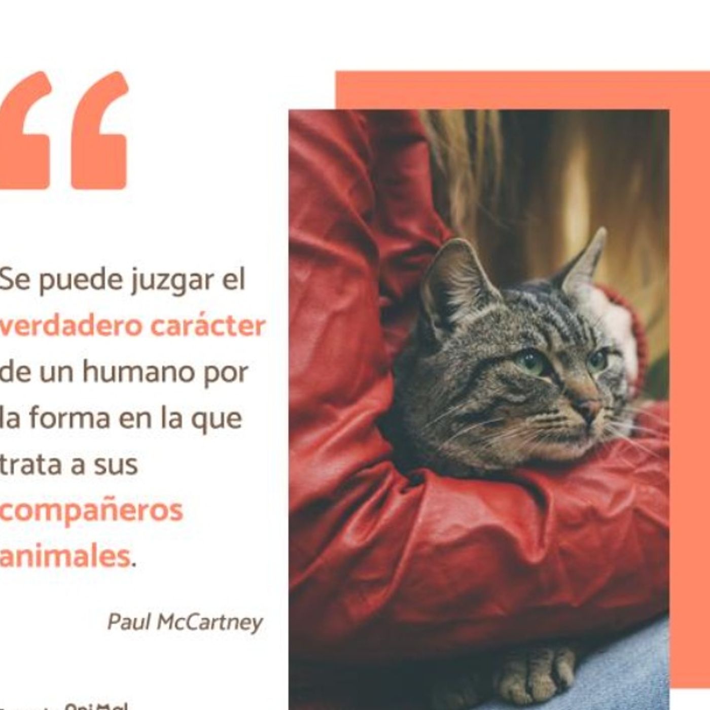 POR Y PARA LOS ANIMALES