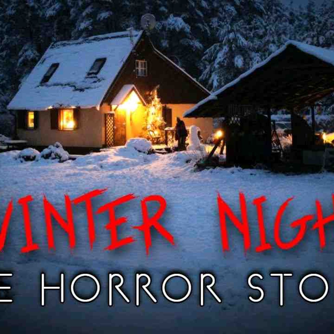 3 Creepy True Winter Night Horror Stories (Vol. 2)