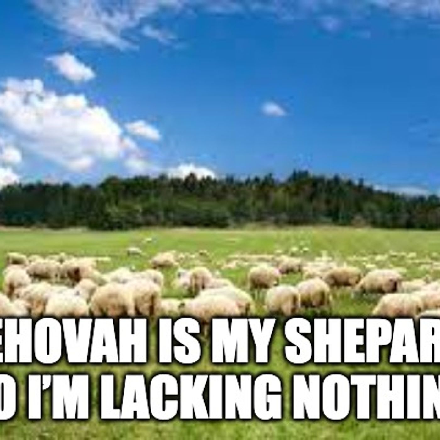 Jehovah Is My Shepard So I’m Lacking Nothing episode artwork