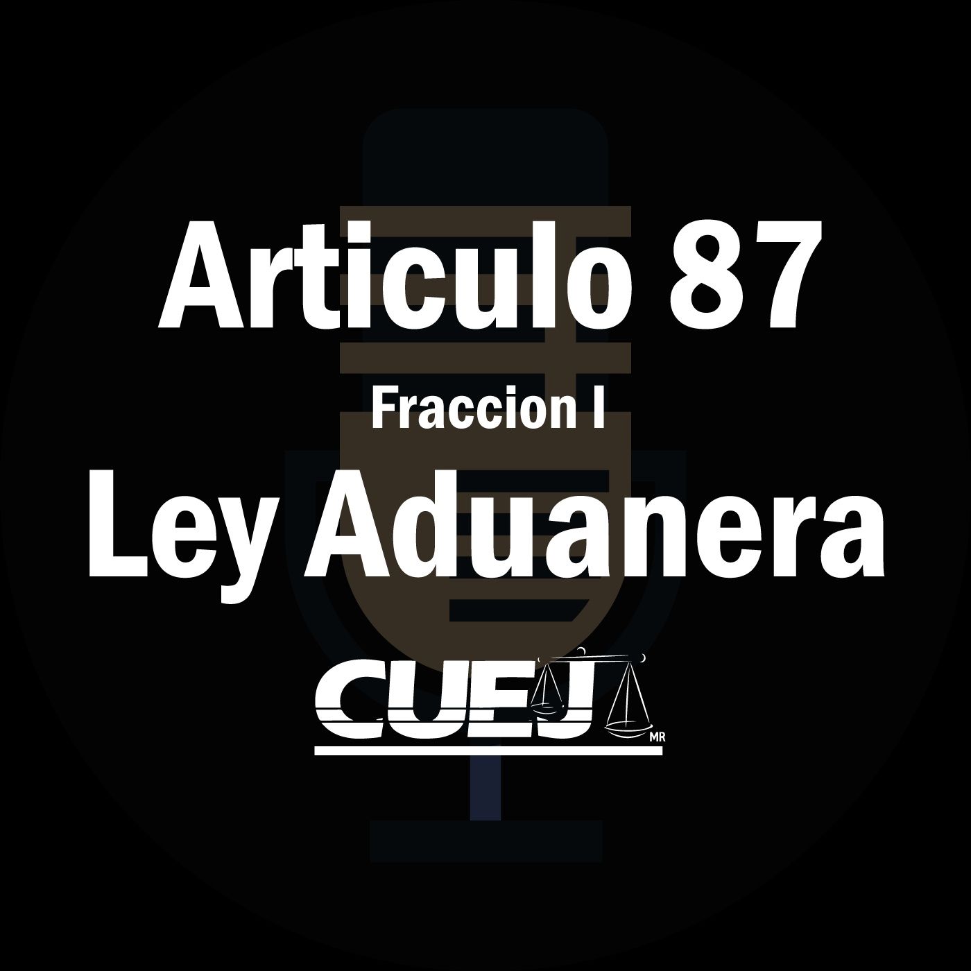 Audio Ley Aduanera