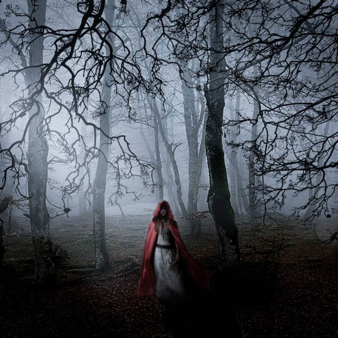 La Bella e la Bestia, di Angelo Fabbri (voci Marco Manenti, Katia Le Donne) episode artwork