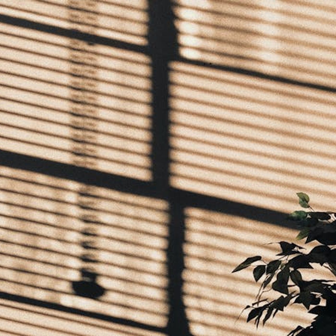 Overcoming Anger in the Home