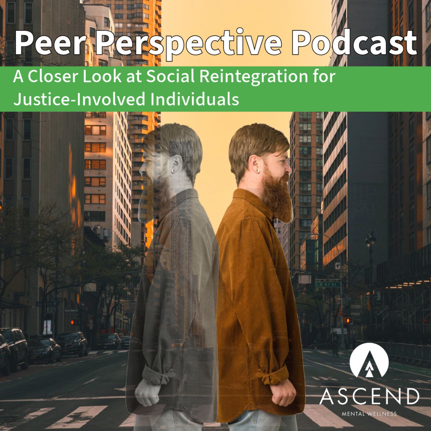 Peer Perspective